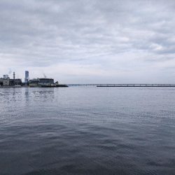 泉佐野食品コンビナートでメバル