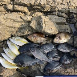 たかたかの釣り日記