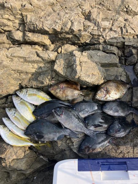 たかたかの釣り日記