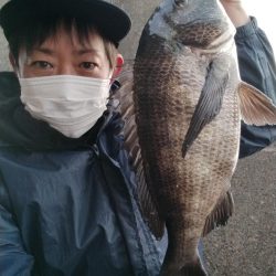 ヘチ釣り