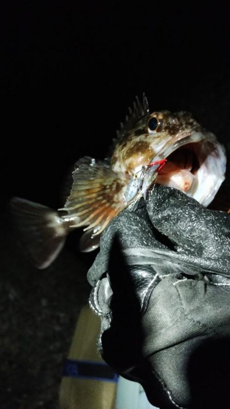 マイクロジギング