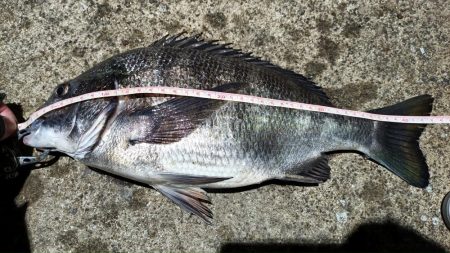 2024/02/28 南港ヘチ釣り釣行