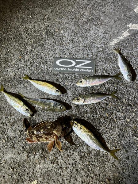 仕事帰りのちょこっとアジング②