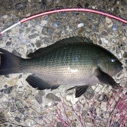 寒グレゲット！