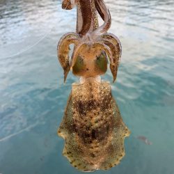 ほんとに2月ですか？