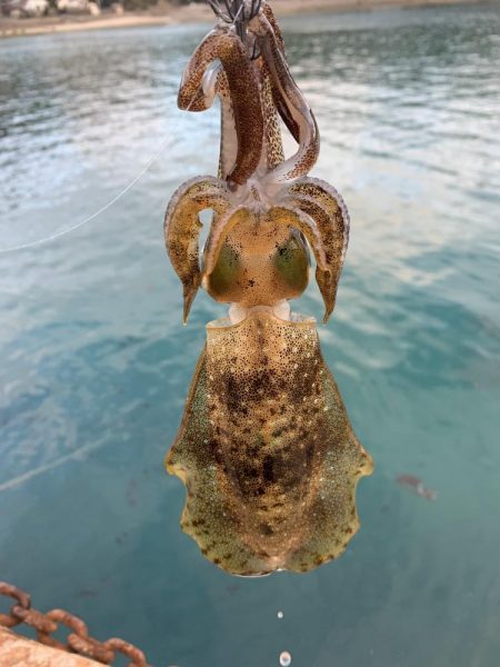 ほんとに2月ですか？