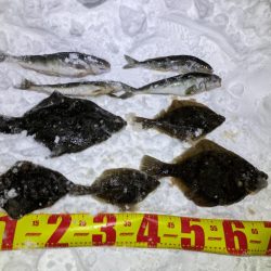 道内カレイついに本格化！？ホッケとカレイが爆釣する！！