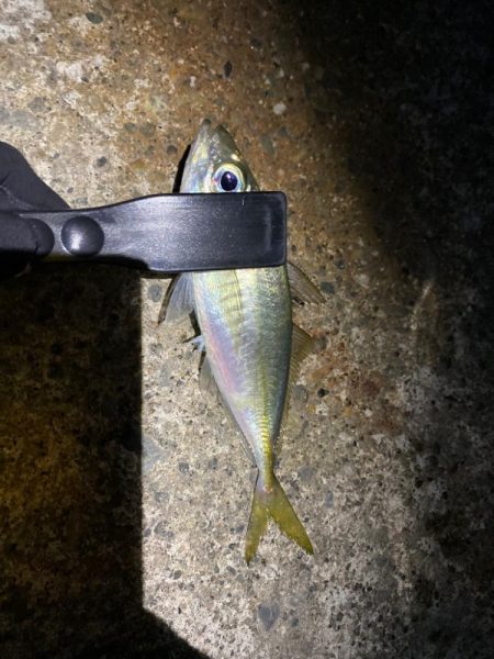 アジングランガン