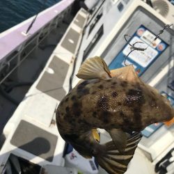 室津のカットウ釣り