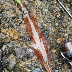 この一瞬のため！