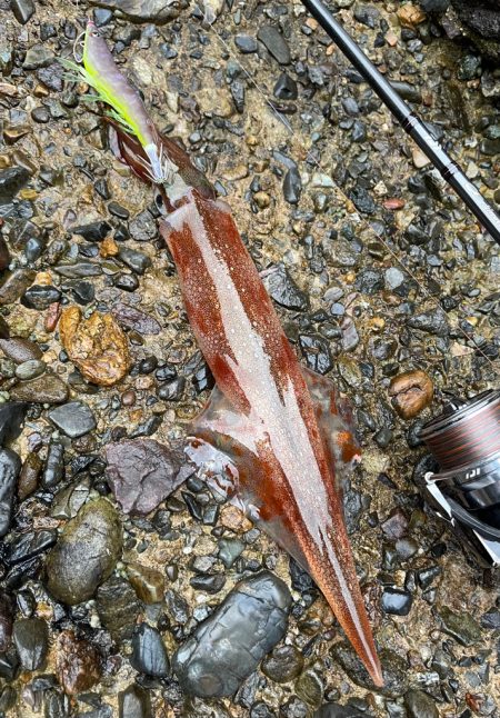 この一瞬のため！