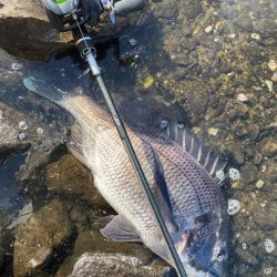 Newロッド闘魂注入