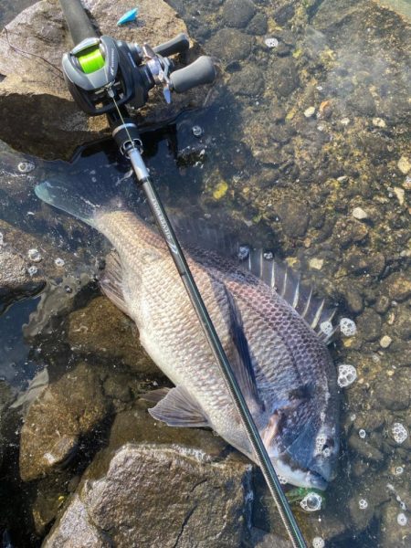 Newロッド闘魂注入