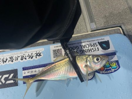 バチコンアジング