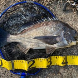 また冷えて来ました