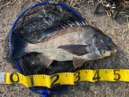 また冷えて来ました