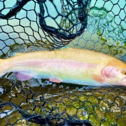 OPEN！リバーランズ山都！