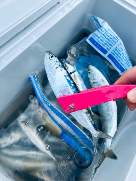 朝から人がたくさん