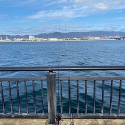 ライトゲーム兵庫縦断