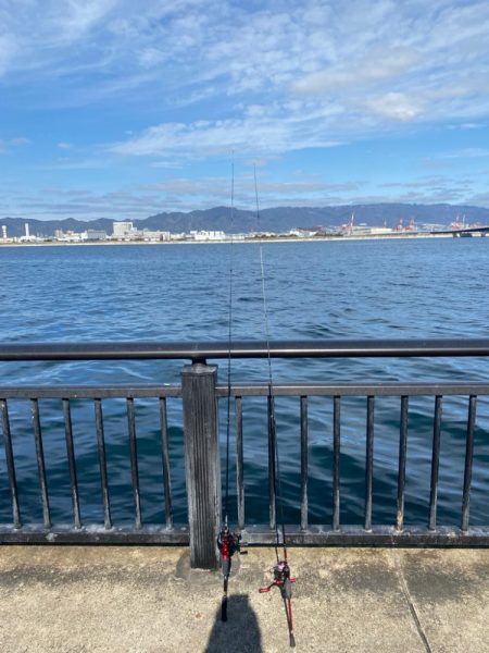 ライトゲーム兵庫縦断