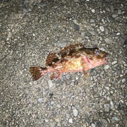 少し厳しかった…