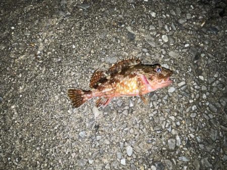 少し厳しかった…