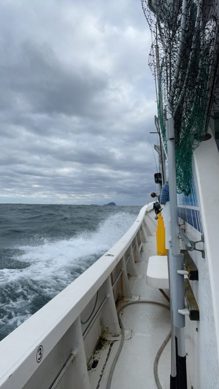 初のサワラブレードジギング