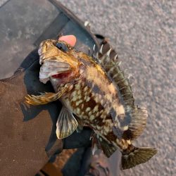 何とかライトゲーム成立の四日市