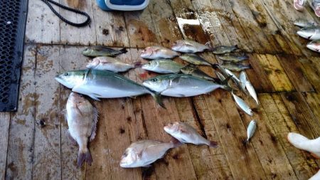 あなたに逢い鯛釣り堀　夕まずめ