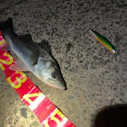 優等生サイレントアサシン