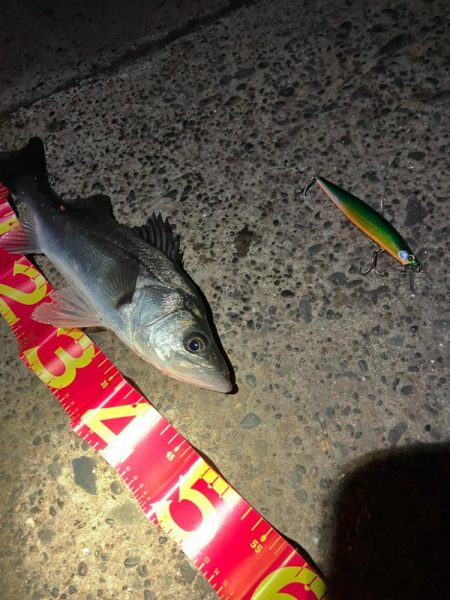 優等生サイレントアサシン