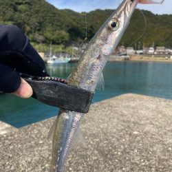 2024ライトゲーム第5戦