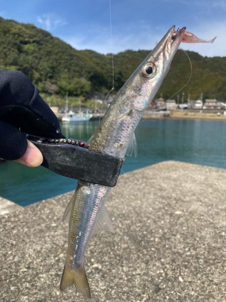 2024ライトゲーム第5戦