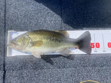 1日ボート釣行！