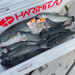 サーモン/ルアー・脈釣り