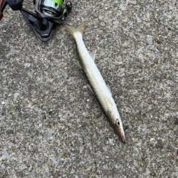 真昼間の短時間ライトゲーム