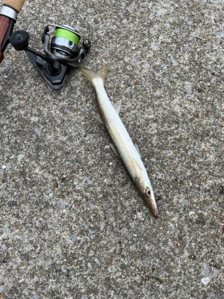 真昼間の短時間ライトゲーム