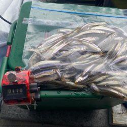 わかさぎ釣り