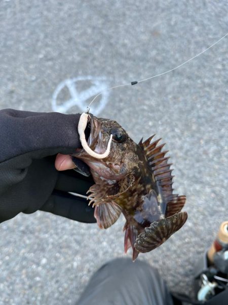 激渋ライトゲーム