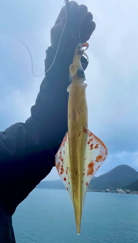 雨にも負けず！！