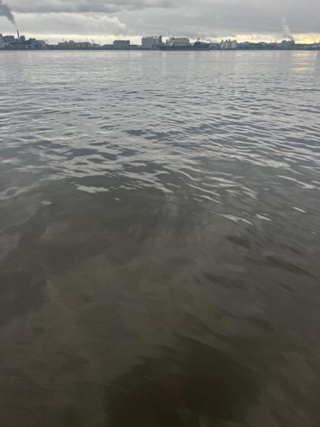 バチ抜けシーバス