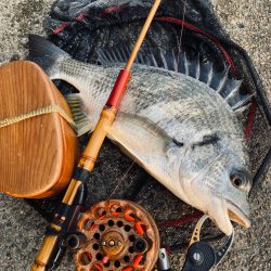 ヘチってきました