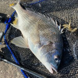 潮と心は少し濁ってるくらいが丁度いい