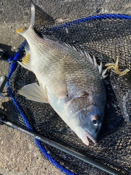 潮と心は少し濁ってるくらいが丁度いい