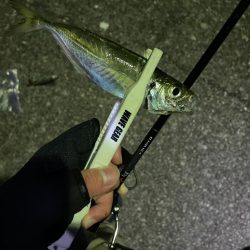 和歌山遠征😎😎