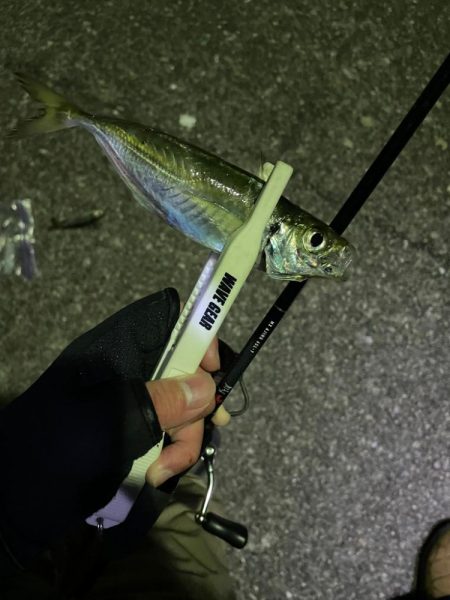 和歌山遠征😎ὠ…