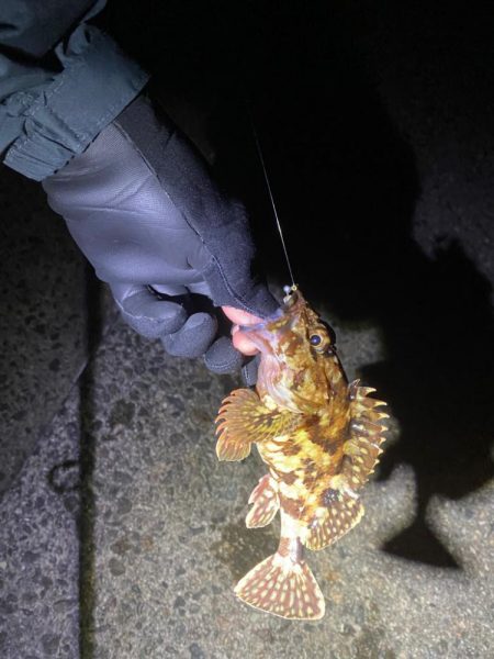 フロート、ライトプラッキング