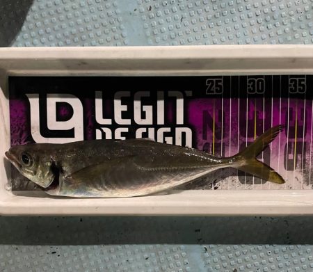 バチコンアジング