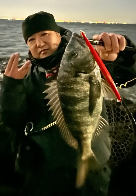 シーバスかと思ったらチヌだった件について