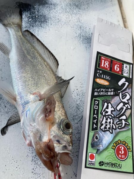 大阪湾＊クログチ☆